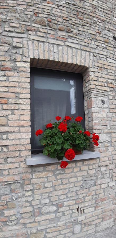 Apartament Casa Fabbro Palazzolo dello Stella Zewnętrze zdjęcie